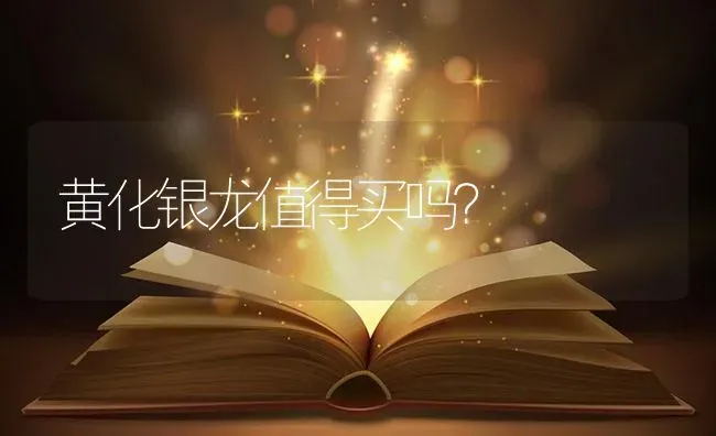 黄化银龙值得买吗？ | 鱼类宠物饲养