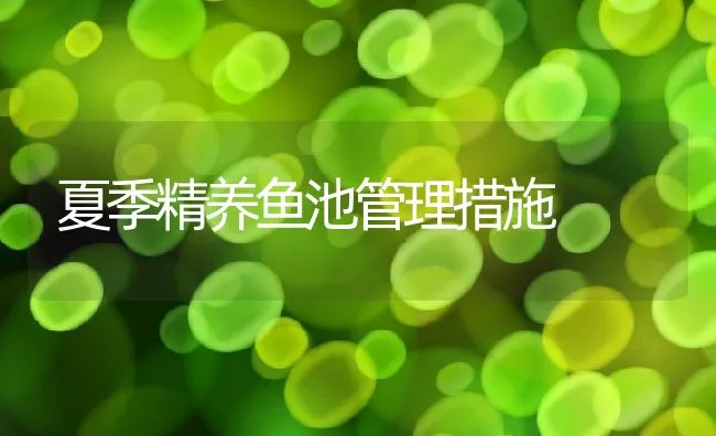 夏季精养鱼池管理措施 | 动物养殖学堂