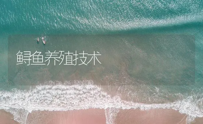 鲟鱼养殖技术 | 海水养殖技术