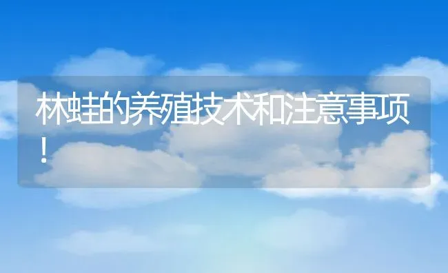 林蛙的养殖技术和注意事项！ | 动物养殖百科