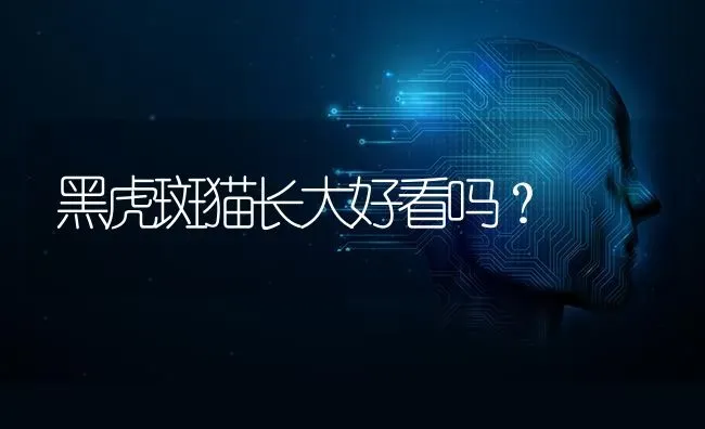 黑虎斑猫长大好看吗？ | 动物养殖问答