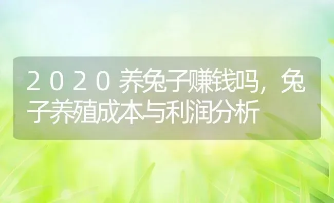 2020养兔子赚钱吗，兔子养殖成本与利润分析 | 动物养殖百科