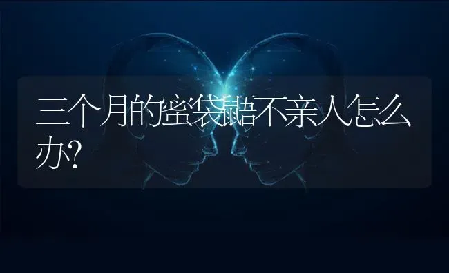 三个月的蜜袋鼯不亲人怎么办？ | 动物养殖问答