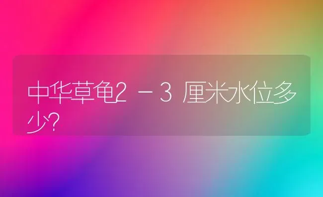 小金毛犬性格怎么样？ | 动物养殖问答