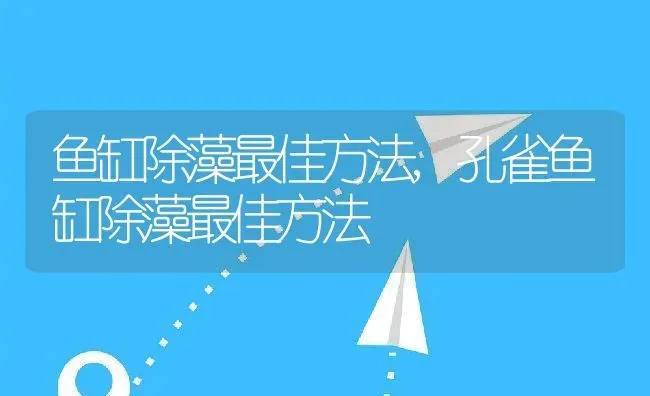 鱼缸除藻最佳方法,孔雀鱼缸除藻最佳方法 | 宠物百科知识