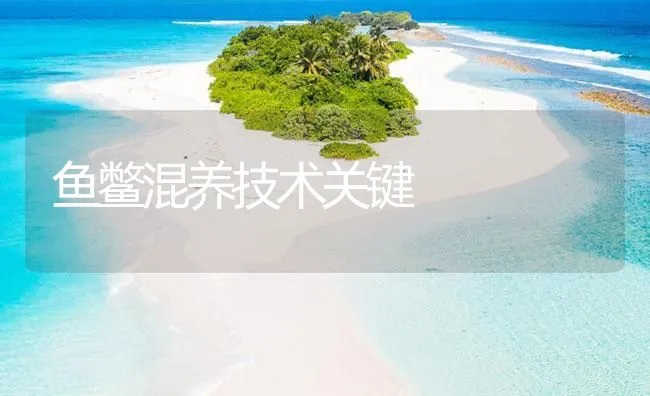 鱼鳖混养技术关键 | 海水养殖技术