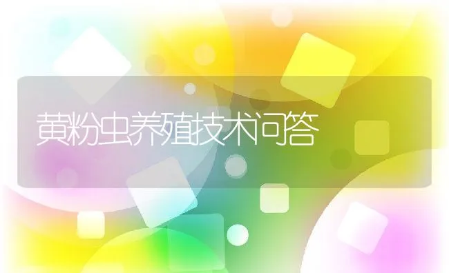 黄粉虫养殖技术问答 | 动物养殖学堂