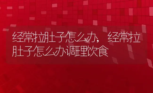 经常拉肚子怎么办,经常拉肚子怎么办调理饮食 | 宠物百科知识