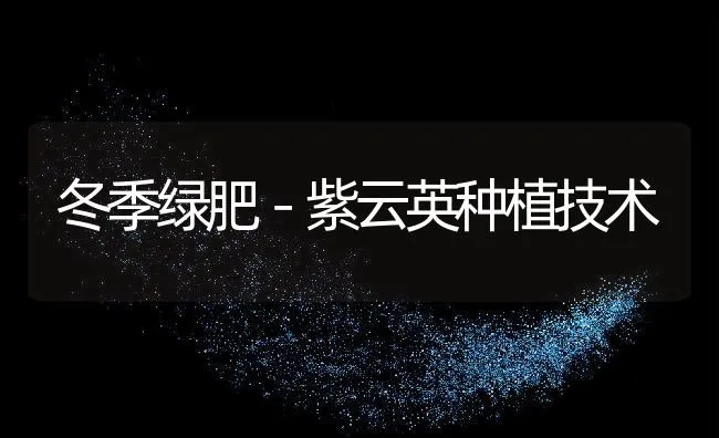 稻田泥鳅的捕捞新法 | 水产养殖知识