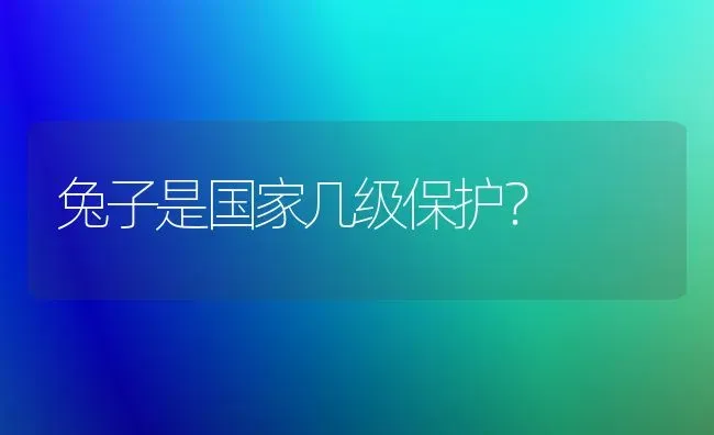 兔子是国家几级保护？ | 动物养殖问答