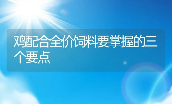 鸡配合全价饲料要掌握的三个要点 | 动物养殖学堂