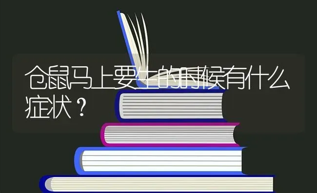 仓鼠马上要生的时候有什么症状？ | 动物养殖问答