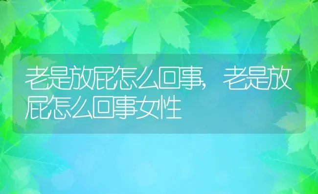 老是放屁怎么回事,老是放屁怎么回事女性 | 宠物百科知识