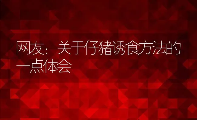 网友：关于仔猪诱食方法的一点体会 | 动物养殖学堂