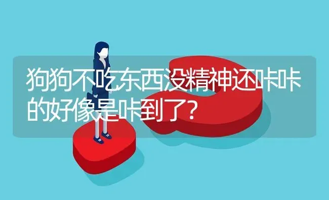 狗狗不吃东西没精神还咔咔的好像是咔到了？ | 动物养殖问答