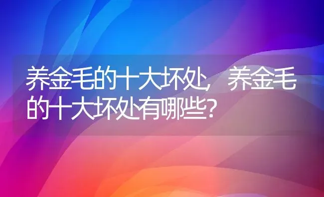 养金毛的十大坏处,养金毛的十大坏处有哪些？ | 宠物百科知识