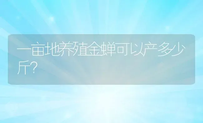 一亩地养殖金蝉可以产多少斤？ | 动物养殖百科