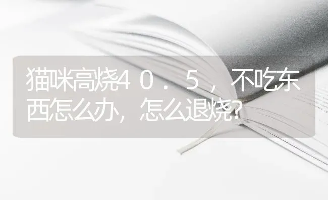 猫咪高烧40.5，不吃东西怎么办，怎么退烧？ | 动物养殖问答