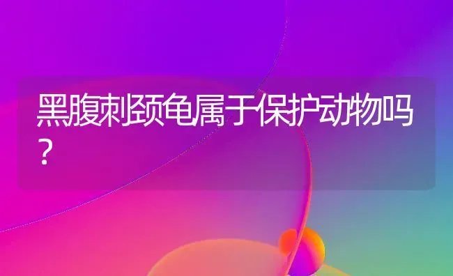 拉布拉多和金毛的区别？ | 动物养殖问答