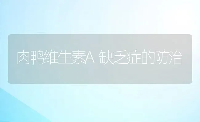 肉鸭维生素A缺乏症的防治 | 动物养殖教程