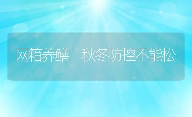网箱养鳝 秋冬防控不能松 | 动物养殖饲料