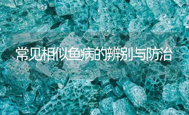 常见相似鱼病的辨别与防治 | 海水养殖技术