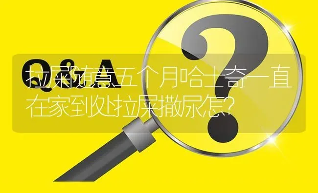 拉屎随意五个月哈士奇一直在家到处拉屎撒尿怎？ | 动物养殖问答