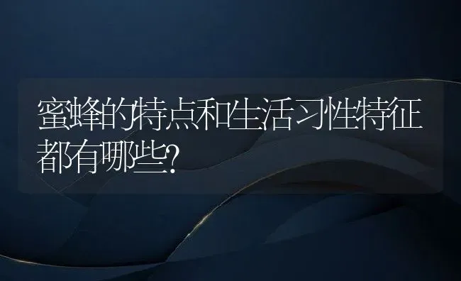 蜜蜂的特点和生活习性特征都有哪些？ | 动物养殖百科