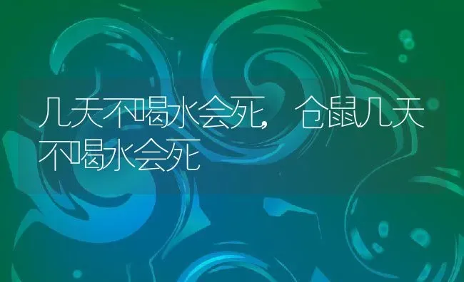 几天不喝水会死,仓鼠几天不喝水会死 | 宠物百科知识