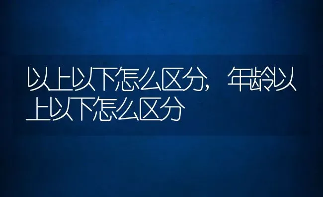 以上以下怎么区分,年龄以上以下怎么区分 | 宠物百科知识