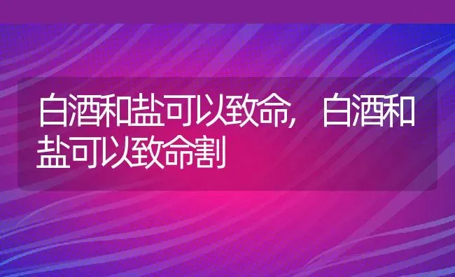 白酒和盐可以致命,白酒和盐可以致命割 | 宠物百科知识