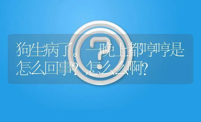 狗生病了。一晚上都哼哼是怎么回事?怎么么啊？ | 动物养殖问答