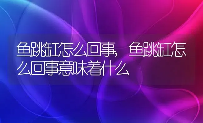 鱼跳缸怎么回事,鱼跳缸怎么回事意味着什么 | 宠物百科知识