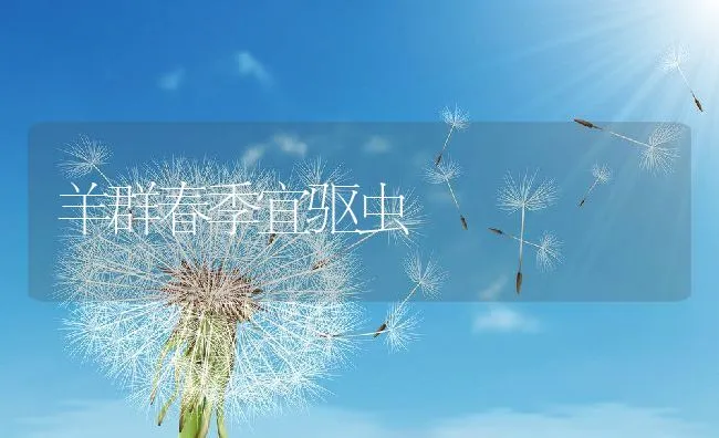 羊群春季宜驱虫 | 动物养殖学堂