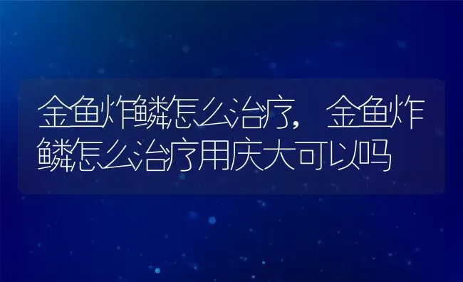 金鱼炸鳞怎么治疗,金鱼炸鳞怎么治疗用庆大可以吗 | 宠物百科知识