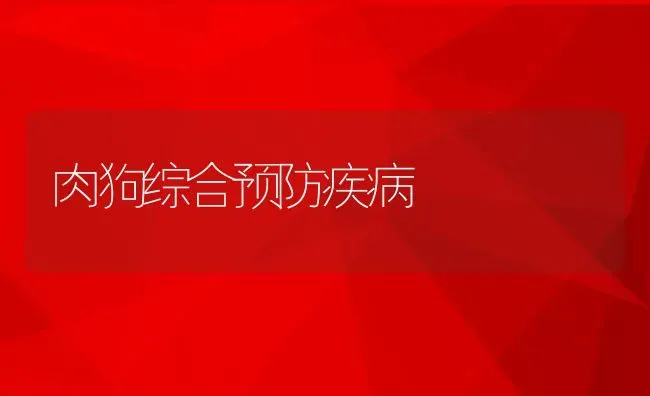 肉狗综合预防疾病 | 动物养殖教程