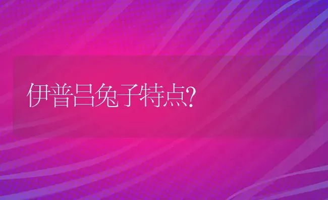 伊普吕兔子特点？ | 动物养殖问答