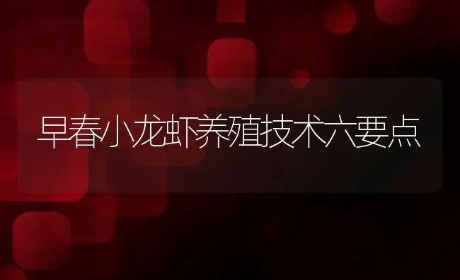 早春小龙虾养殖技术六要点 | 动物养殖百科