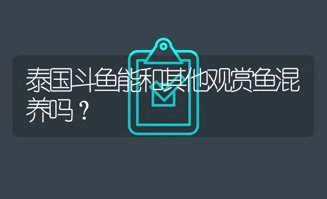 泰国斗鱼能和其他观赏鱼混养吗？ | 鱼类宠物饲养