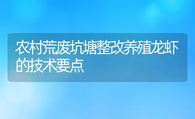 农村荒废坑塘整改养殖龙虾的技术要点 | 动物养殖饲料