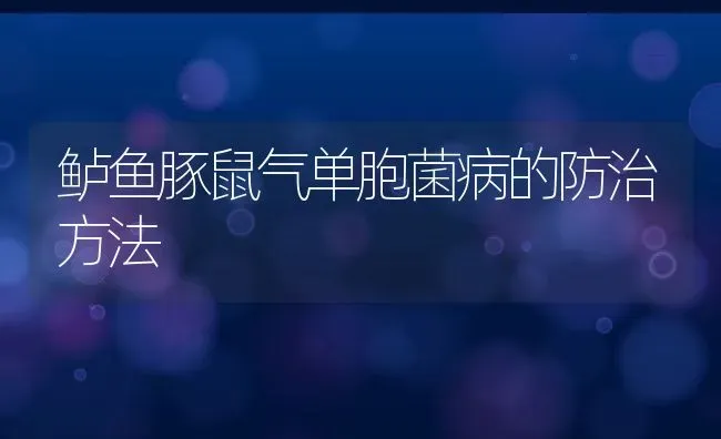 鲈鱼豚鼠气单胞菌病的防治方法 | 淡水养殖技术