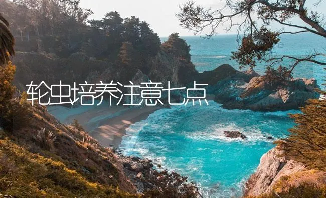 轮虫培养注意七点 | 海水养殖技术