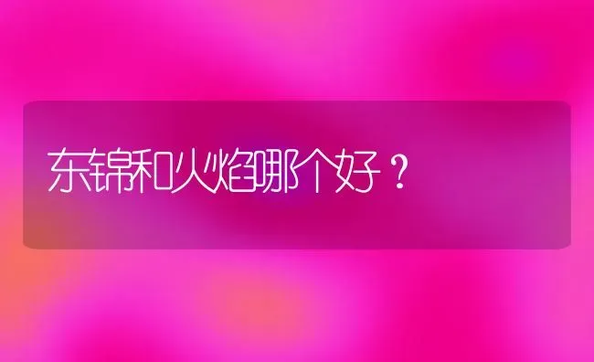 东锦和火焰哪个好？ | 动物养殖问答