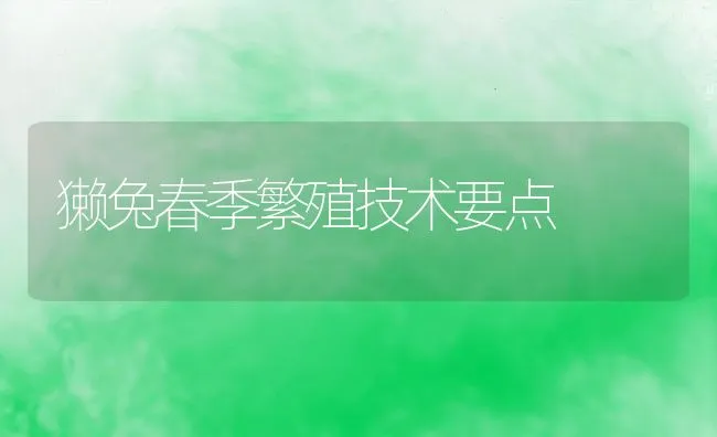 獭兔春季繁殖技术要点 | 水产养殖知识