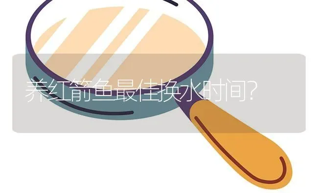 养红箭鱼最佳换水时间？ | 鱼类宠物饲养