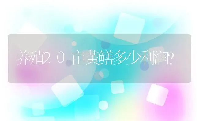 养殖20亩黄鳝多少利润？ | 动物养殖百科