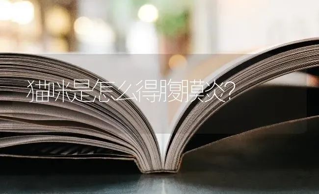 是不是只要狗狗在10天之内不死就不会刚换上狂犬病？ | 动物养殖问答