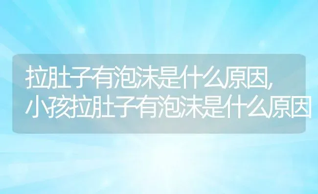 拉肚子有泡沫是什么原因,小孩拉肚子有泡沫是什么原因 | 宠物百科知识