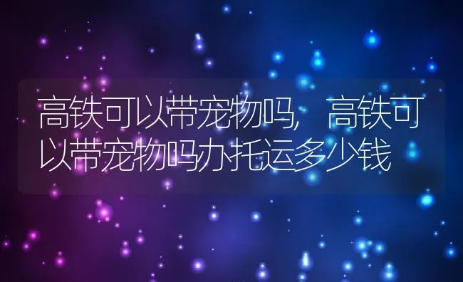 高铁可以带宠物吗,高铁可以带宠物吗办托运多少钱 | 宠物百科知识