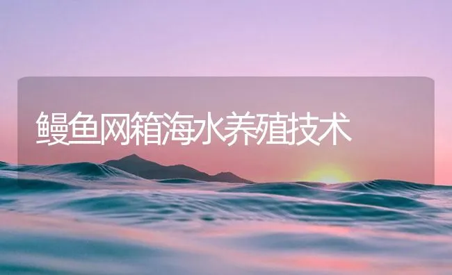 鳗鱼网箱海水养殖技术 | 海水养殖技术